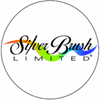 Silver Brush Coupon Codes & Deals